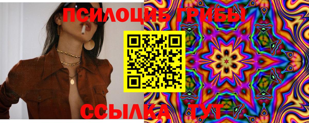 Гулькевичи  Галлюциногенные грибы MAGIC MUSHROOMS  Вход с VPN 